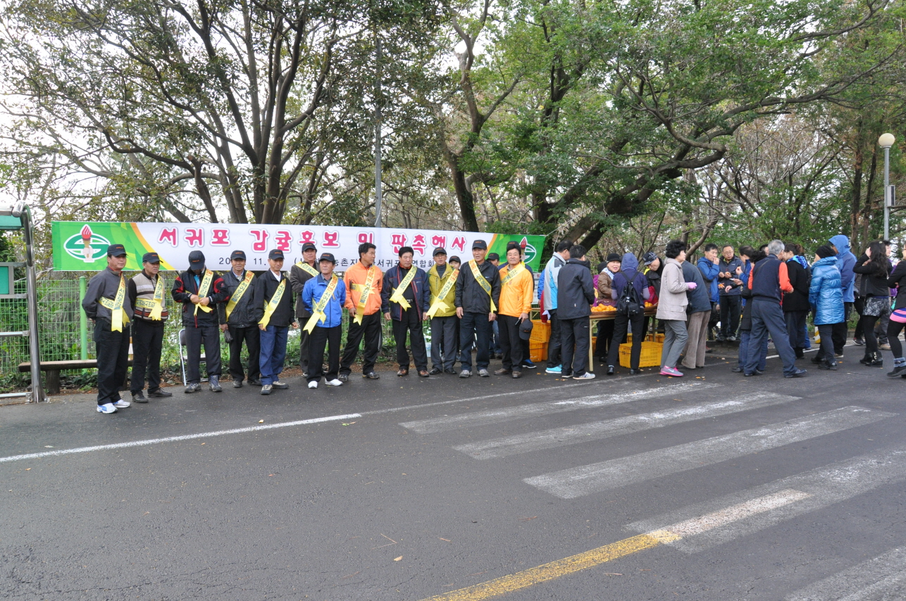 감귤 무료시식 및 판촉 홍보행사